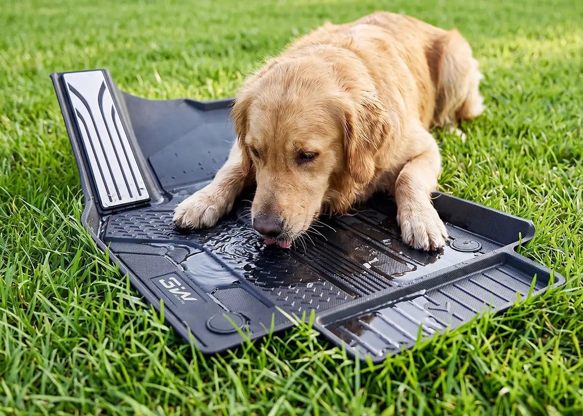 Eco-Friendly Car Floor Mats: What "Non-Toxic" Actually Means, and Which Brands Deliver