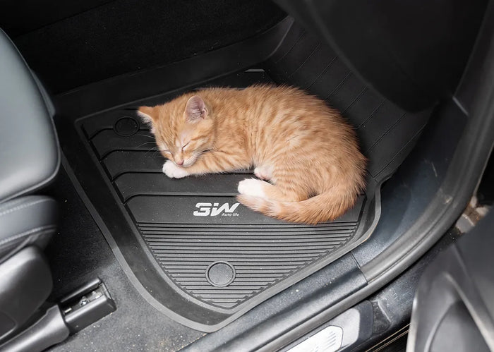 The 3W Product System: Floor Liners, Cargo Mats, Seat Protectors, and Truck Bed Mats Explained