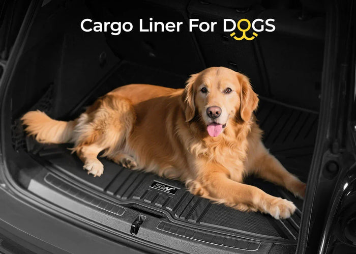 Best Cargo Liner for Dogs: How to Choose the Perfect One