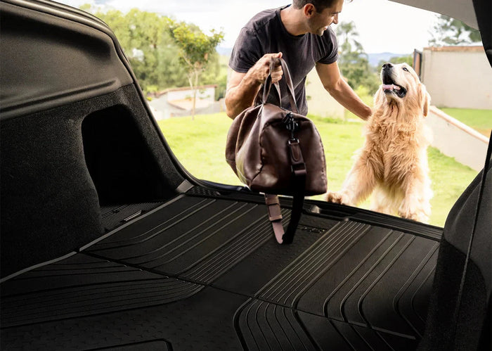 Car Interior Protection: Keep Your Cabin Looking New