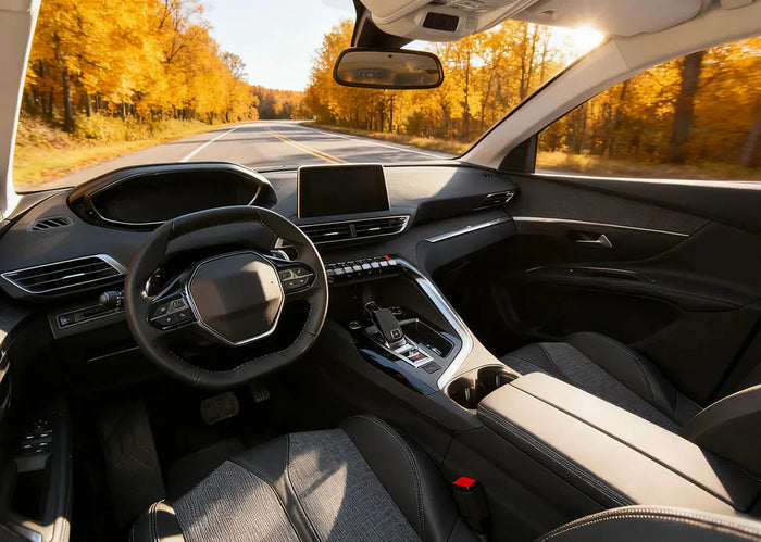 Can Bed Bugs Survive in a Car? Discover the Truth and Solutions