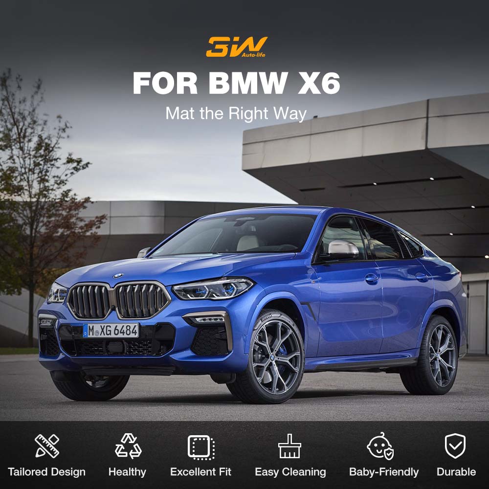 BMW X6 (2).jpg__PID:7b84dba1-2959-41f2-aeb6-c9061c16585a