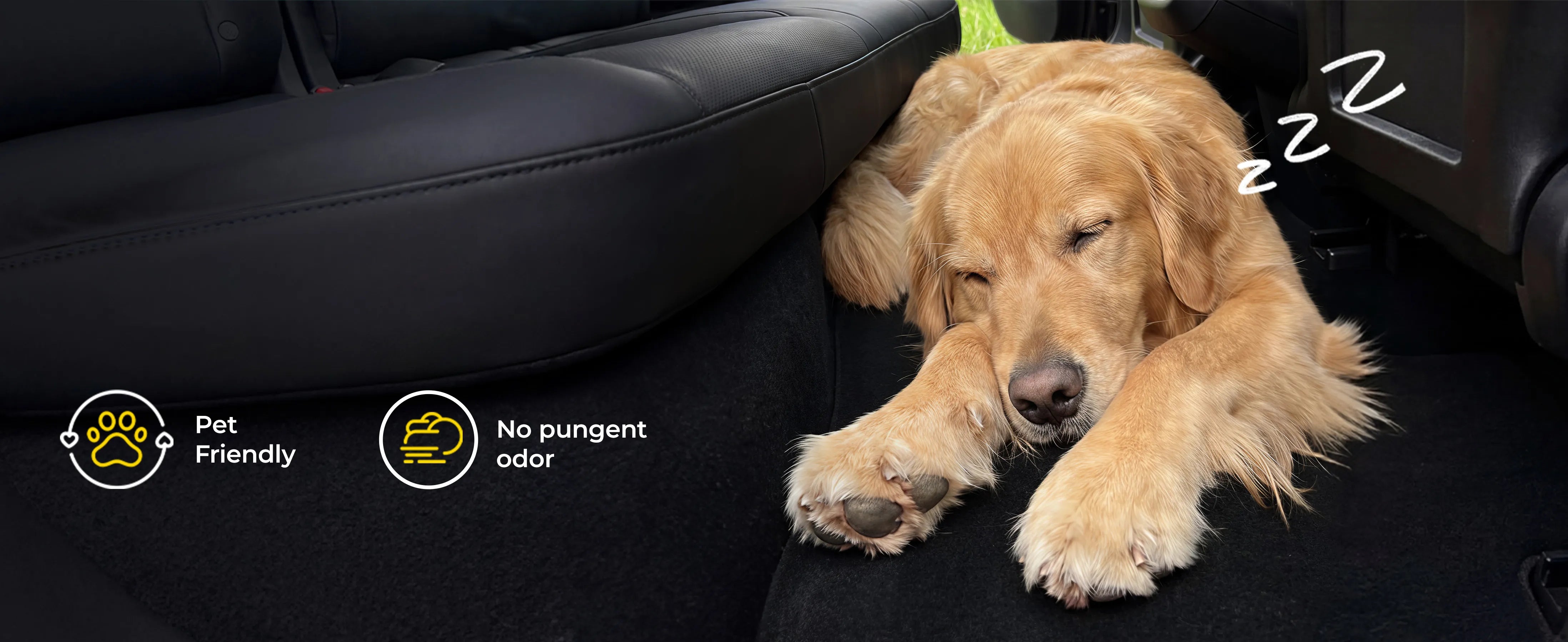 Comfort for every passenger—even the ones with four paws.