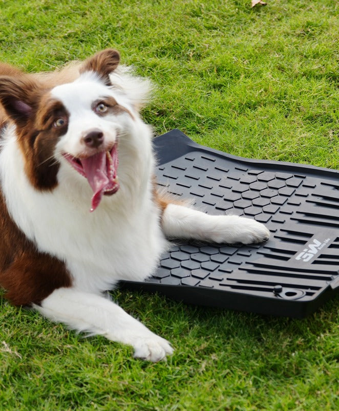 Dog sitting on 3W's car floor mat which is highly durable 